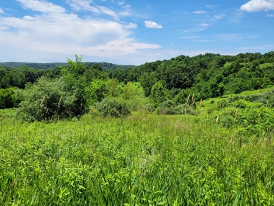 Coshocton County Scenic Views Vacant Land - image 10