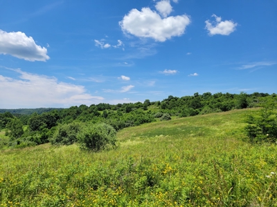 Coshocton County Scenic Views Vacant Land - image 9