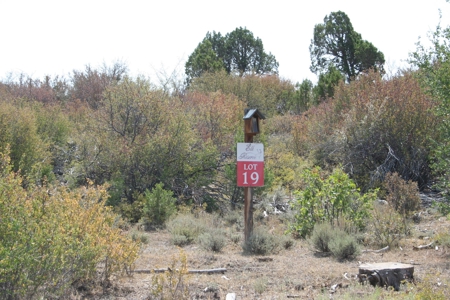 35 acre Mountain Homesite for sale near Grand Jct. CO - image 2