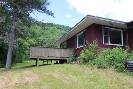 Overlooking the Beaverkill River - image 15