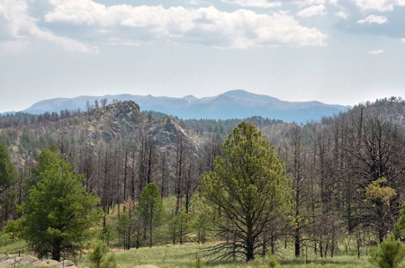 Custom Mountain Home - image 41