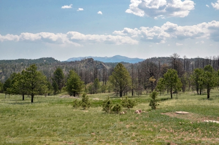Custom Mountain Home - image 42