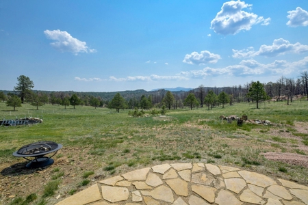 Custom Mountain Home - image 38