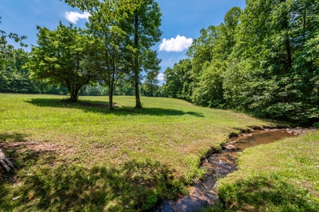 Historic Lakefront Home / Cleveland, GA - image 44