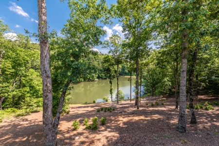 Historic Lakefront Home / Cleveland, GA - image 29