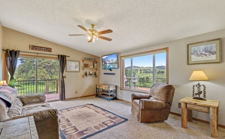 Only 40 Minutes From Fort Collins! - image 6