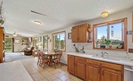 Only 40 Minutes From Fort Collins! - image 14