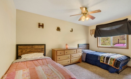 Only 40 Minutes From Fort Collins! - image 21