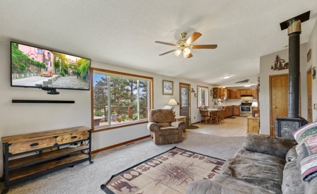 Only 40 Minutes From Fort Collins! - image 12