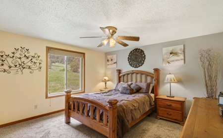 Only 40 Minutes From Fort Collins! - image 20