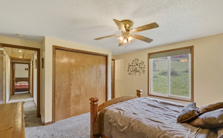 Only 40 Minutes From Fort Collins! - image 19