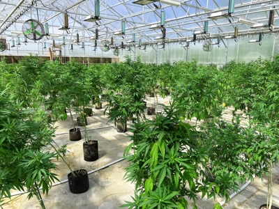 Nebraska Hemp Greenhouse and Industrial Warehouse For Sale - image 12