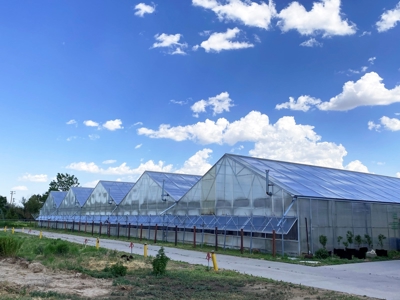 Nebraska Hemp Greenhouse and Industrial Warehouse For Sale - image 6