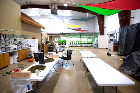 Nebraska Hemp Greenhouse and Industrial Warehouse For Sale - image 15