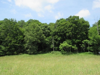 Beautiful Mountain Acreage for Sale in White Top VA - image 2