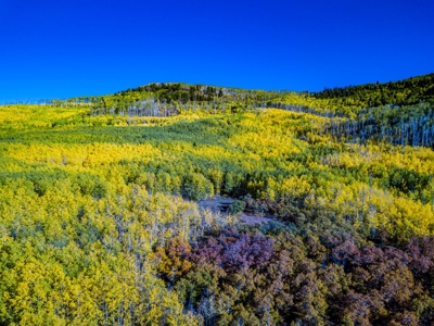 Western Colorado Mountain Home Retreat - image 26