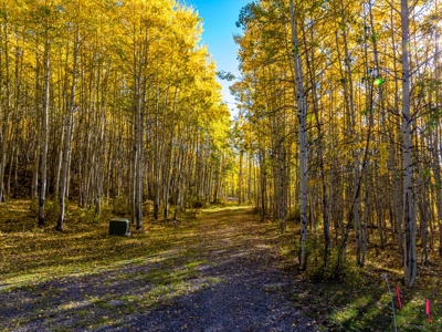 Western Colorado Mountain Home Retreat - image 30