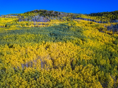 Western Colorado Mountain Home Retreat - image 24