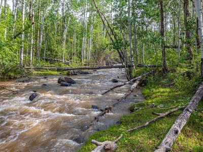 Western Colorado Mountain Home Retreat - image 16