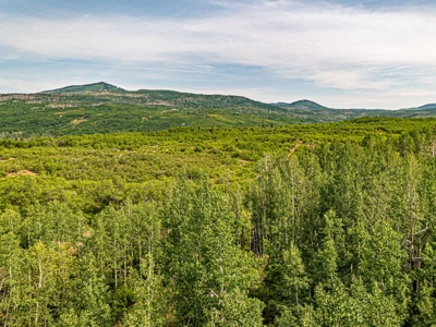 Western Colorado Mountain Home Retreat - image 17