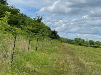 Land For Sale Southeast Oklahoma - image 37