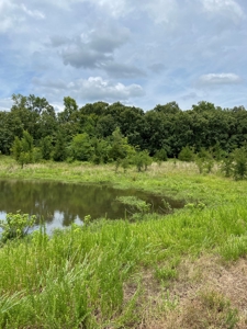 Land For Sale Southeast Oklahoma - image 30
