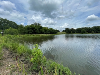 Land For Sale Southeast Oklahoma - image 7