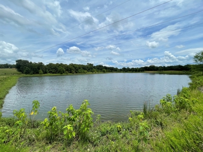 Land For Sale Southeast Oklahoma - image 5