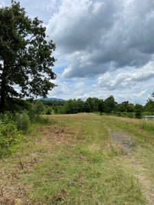 Land For Sale Southeast Oklahoma - image 19