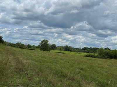 Land For Sale Southeast Oklahoma - image 38