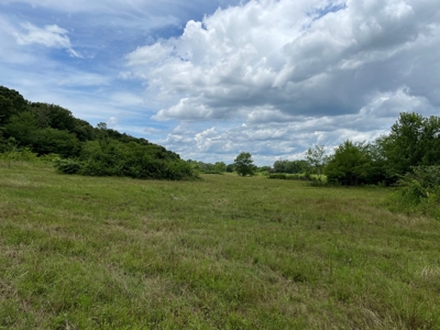 Land For Sale Southeast Oklahoma - image 33