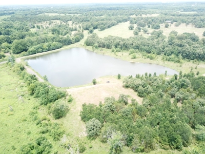 Land For Sale Southeast Oklahoma - image 1