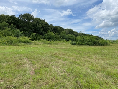 Land For Sale Southeast Oklahoma - image 34