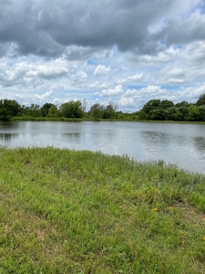 Land For Sale Southeast Oklahoma - image 22