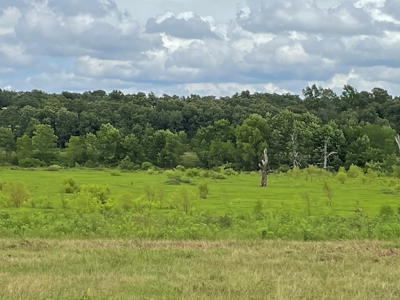 Land For Sale Southeast Oklahoma - image 41