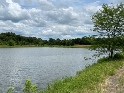 Land For Sale Southeast Oklahoma - image 26