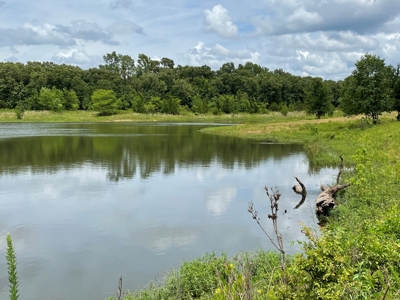 Land For Sale Southeast Oklahoma - image 28