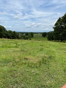 Land For Sale Southeast Oklahoma - image 50