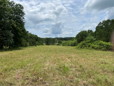 Land For Sale Southeast Oklahoma - image 17