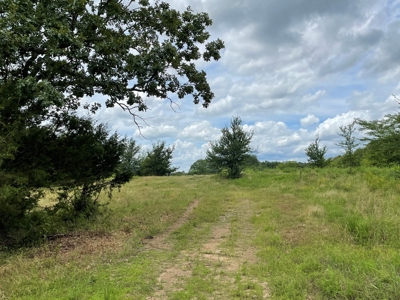 Land For Sale Southeast Oklahoma - image 15
