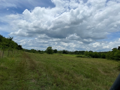 Land For Sale Southeast Oklahoma - image 36