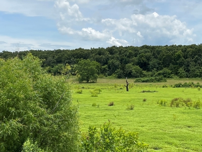 Land For Sale Southeast Oklahoma - image 24