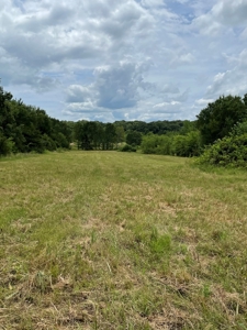 Land For Sale Southeast Oklahoma - image 16
