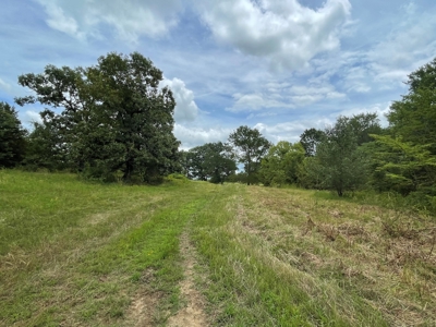 Land For Sale Southeast Oklahoma - image 14