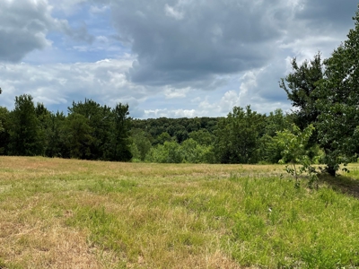 Land For Sale Southeast Oklahoma - image 11