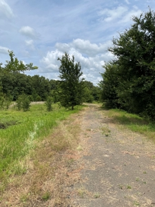 Land For Sale Southeast Oklahoma - image 29