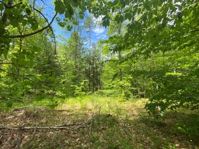 Buildable Land for sale - image 16