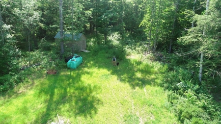 Buildable Land for sale - image 3