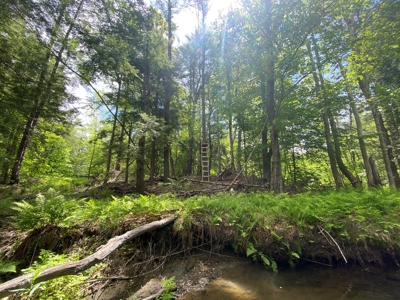 Buildable Land for sale - image 13