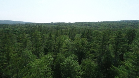 Buildable Land for sale - image 7